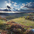 Exmoor moorland