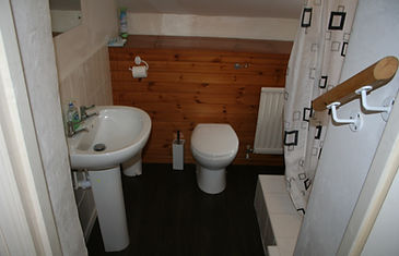 Downstairs shower room