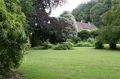 Garden in summer