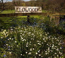Lowood sign