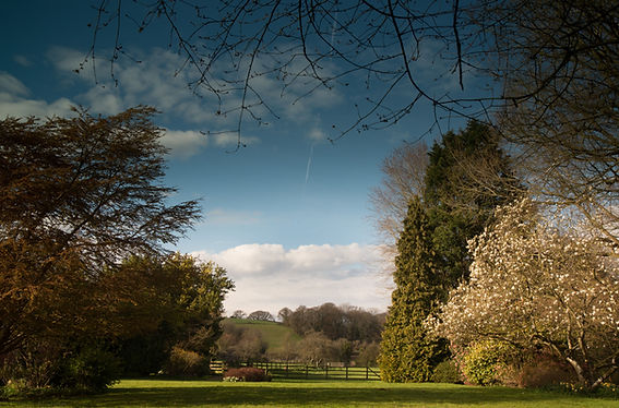 Grounds in spring