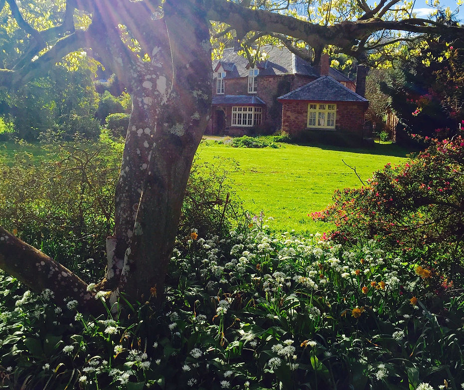 Lowood through the spring garden